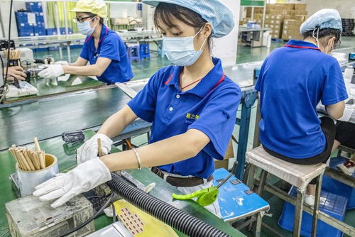 東莞往事 工廠大姐修電腦的溫情邂逅與網(wǎng)站設(shè)計(jì)夢