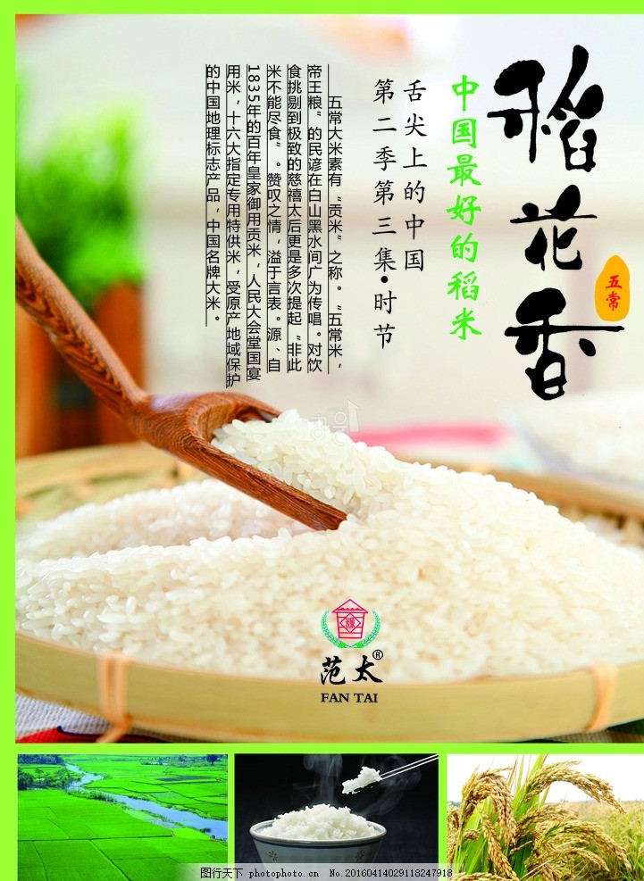 黑土臻品，米中王者——五常大米